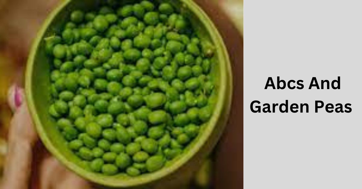 Abcs And Garden Peas