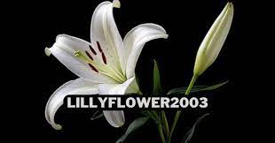 Mystery of Lillyflower2003